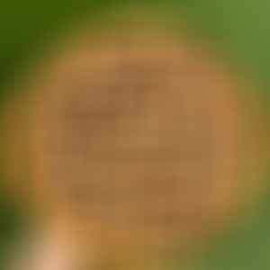 Dutch Triple Berry Pie